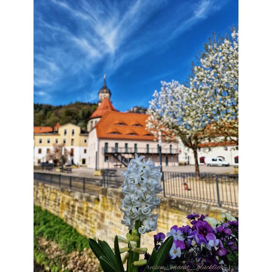 Tinyroom Mit Ausblick Königstein an der Elbe Dış mekan fotoğraf